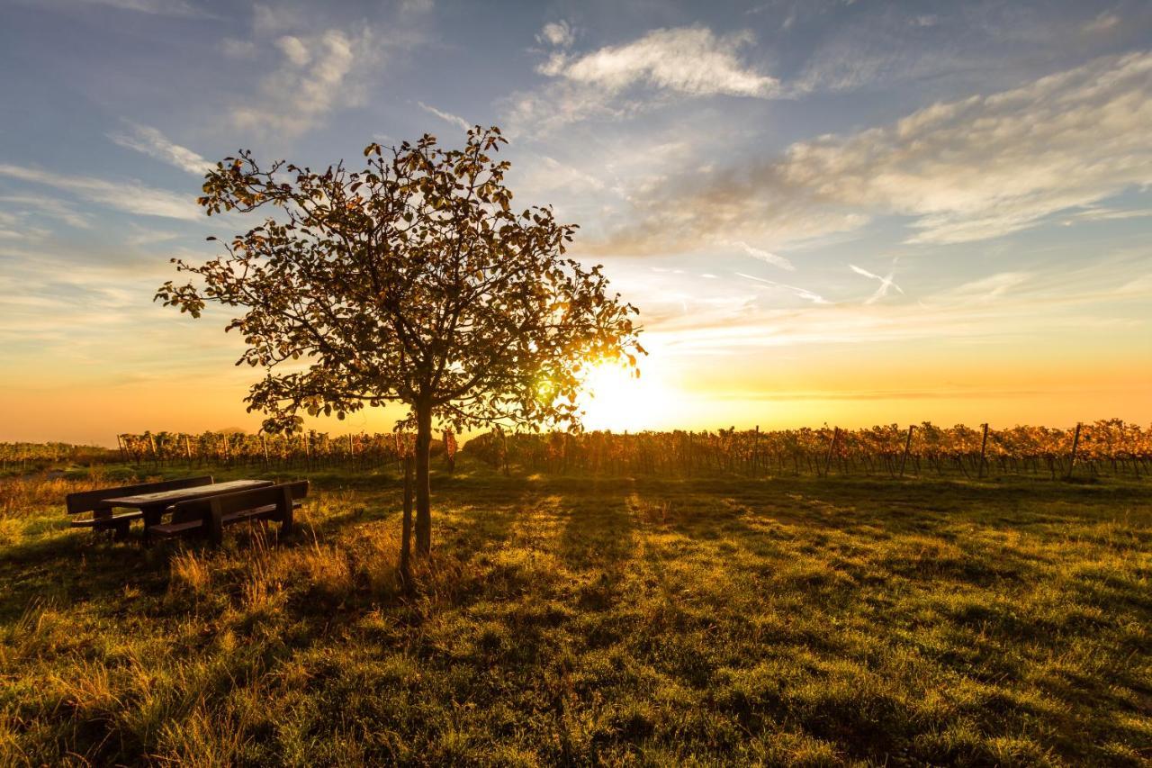 Vinotel Weinstrasse Herxheim am Berg Exteriér fotografie